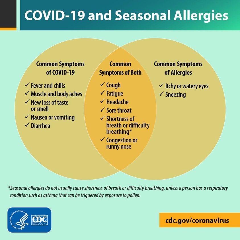 Seasonal allergies infographic
